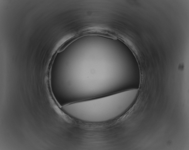 X0000090411042200707130921