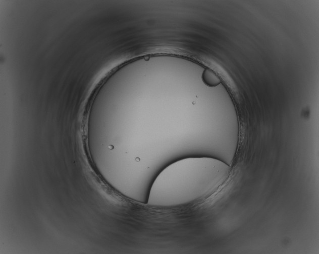 X0000090411043200707130921