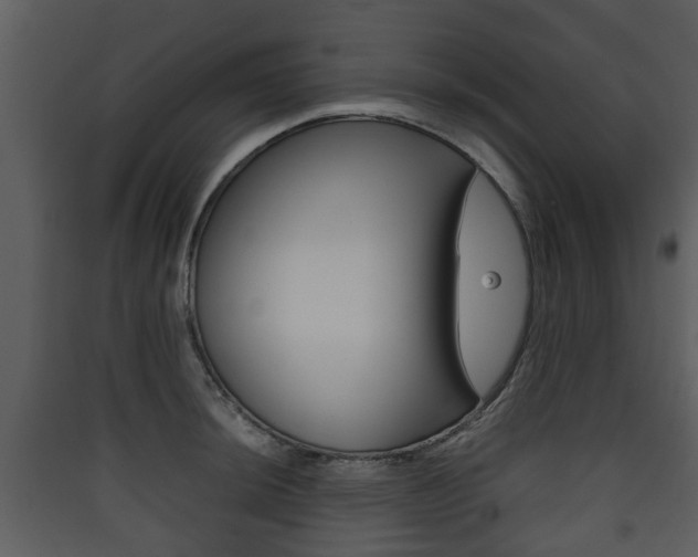 X0000090411044200707130921