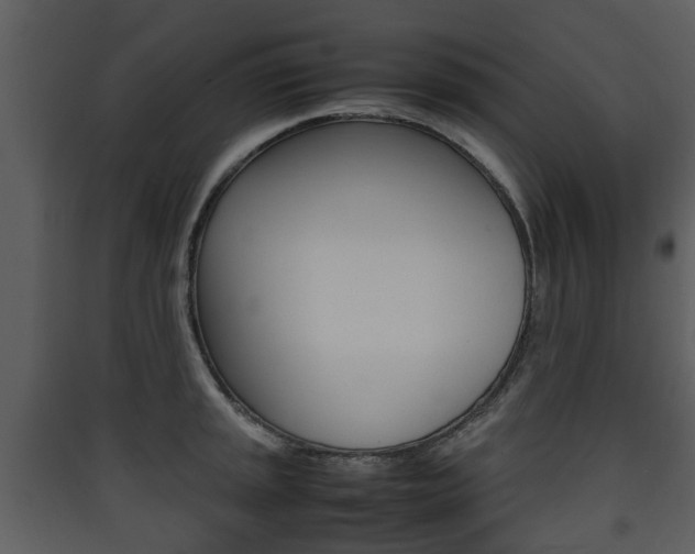 X0000090411045200707130921