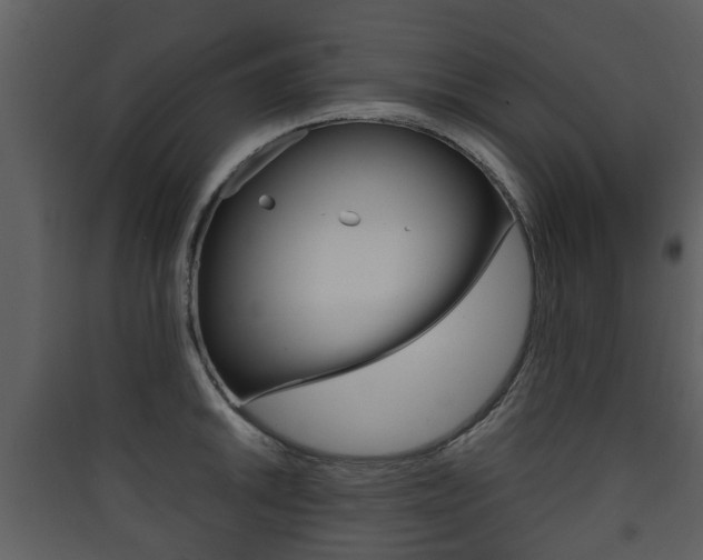 X0000090411046200707130921