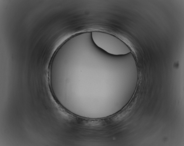 X0000090411047200707130921