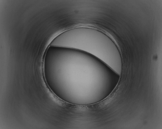 X0000090411050200707130921