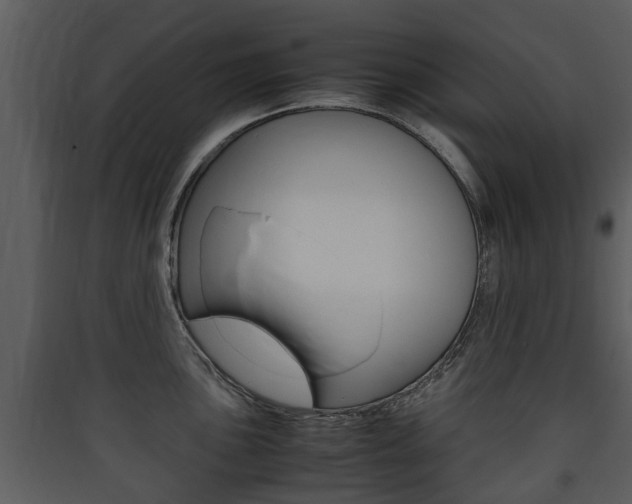 X0000090411051200707130921