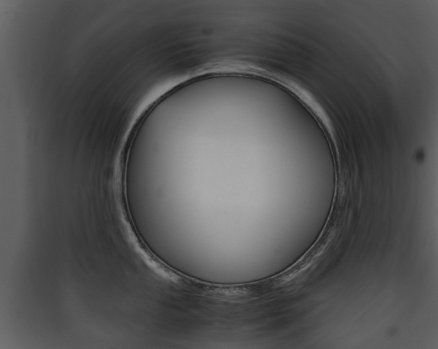 X0000090411053200707130921