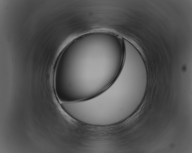 X0000090411054200707130921