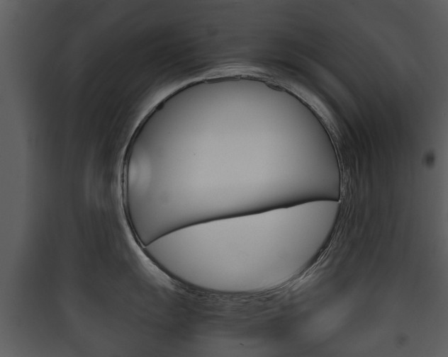 X0000090411055200707130921