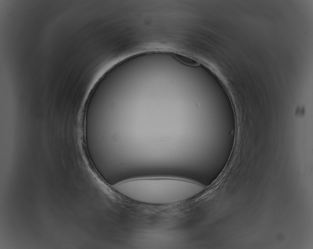 X0000090411056200707130921