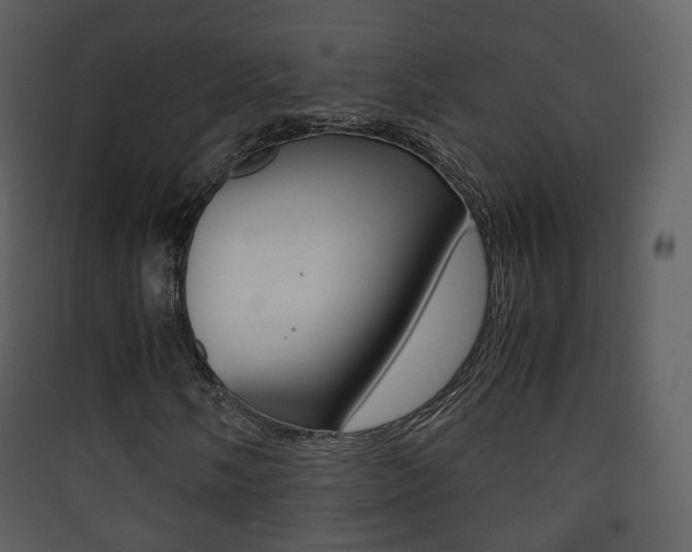 X0000090411058200707130920