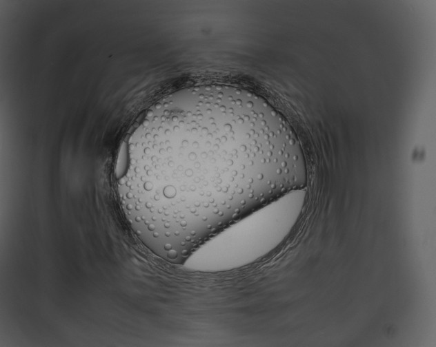 X0000090411059200707130920