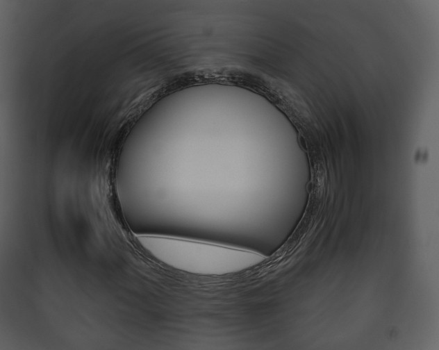 X0000090411060200707130920