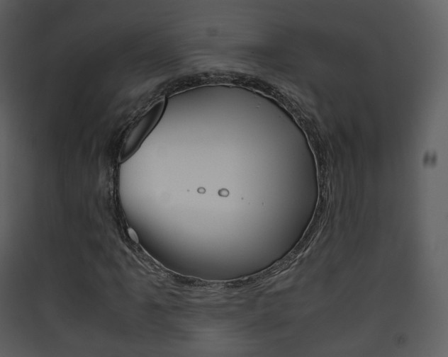 X0000090411061200707130920