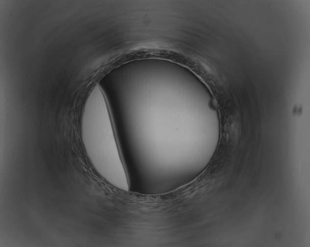 X0000090411062200707130920