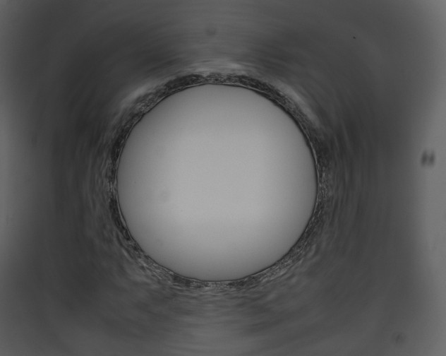 X0000090411063200707130920