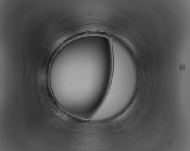 X0000090411065200707130920