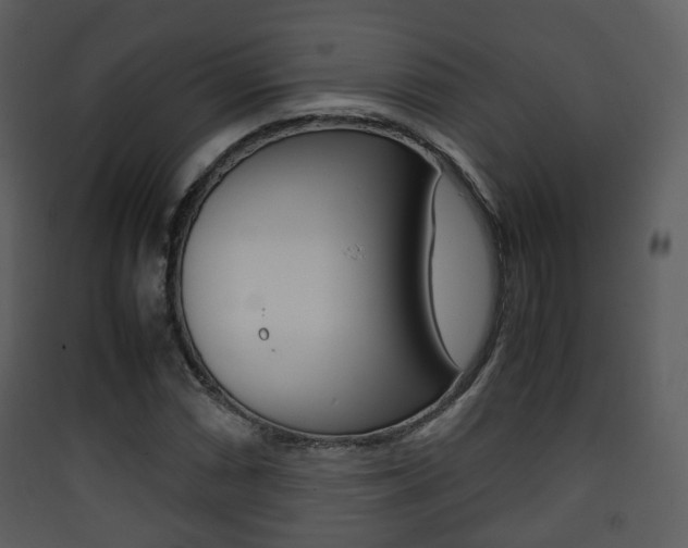 X0000090411066200707130920