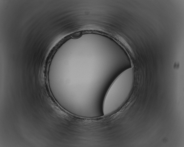 X0000090411068200707130920