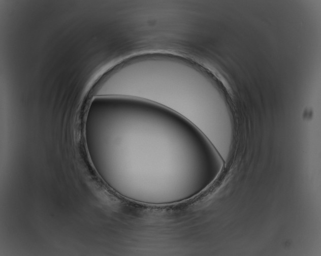 X0000090411069200707130920