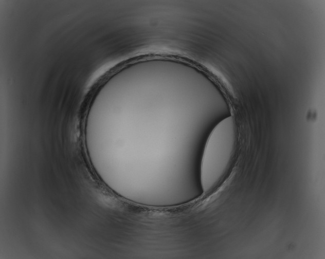 X0000090411070200707130920