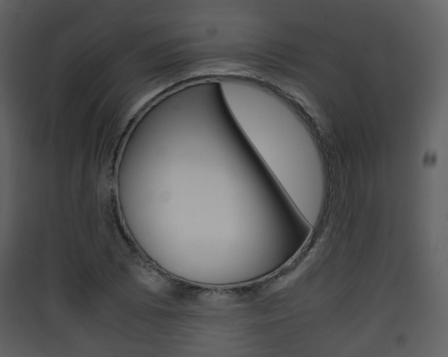 X0000090411073200707130920
