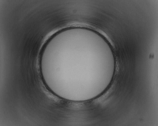 X0000090411074200707130920