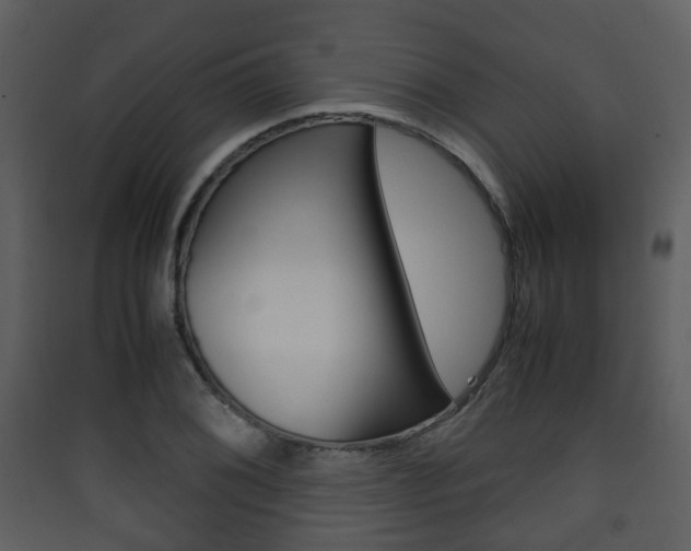 X0000090411076200707130920