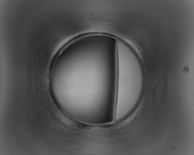 X0000090411077200707130920