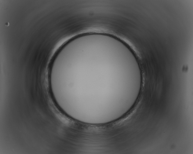 X0000090411078200707130920