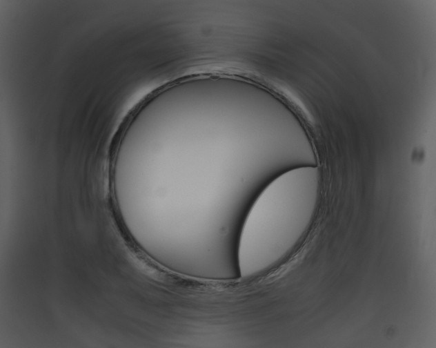 X0000090411079200707130920