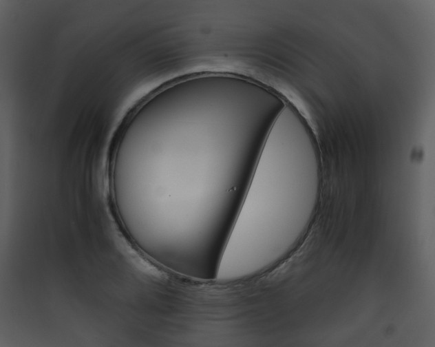 X0000090411080200707130920