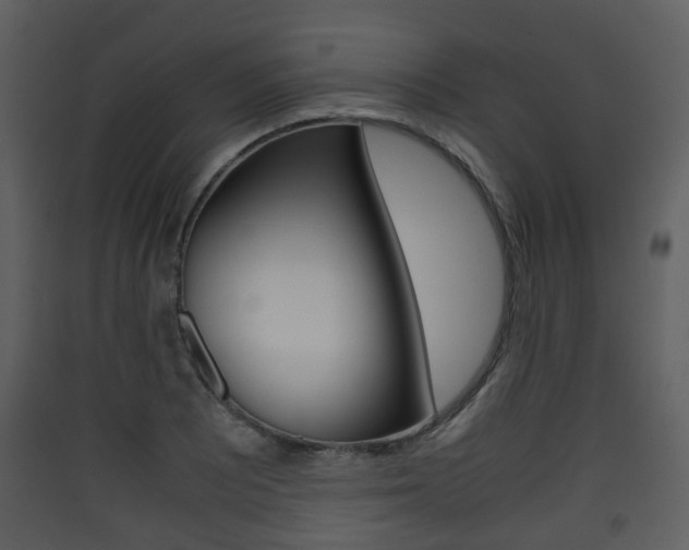 X0000090411081200707130920
