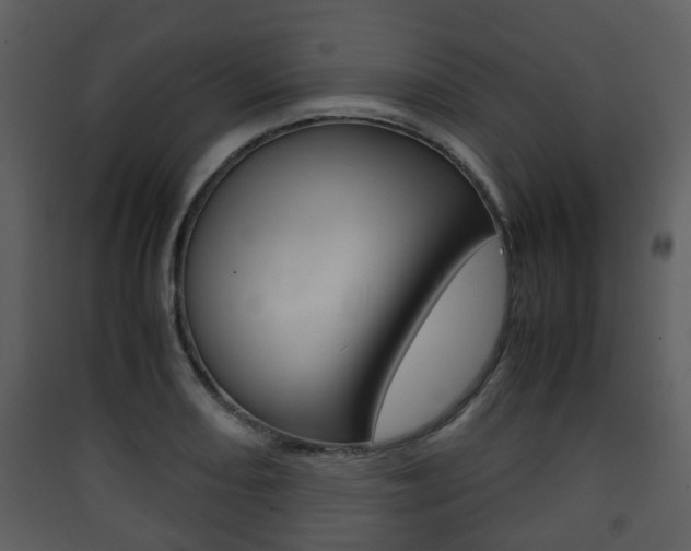 X0000090411082200707130920