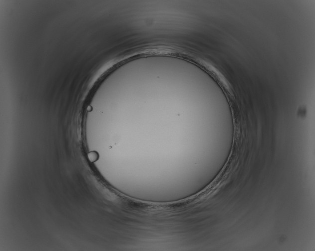 X0000090411083200707130920