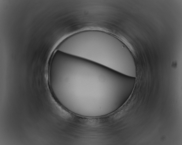 X0000090411084200707130920