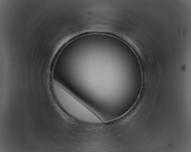 X0000090411085200707130920