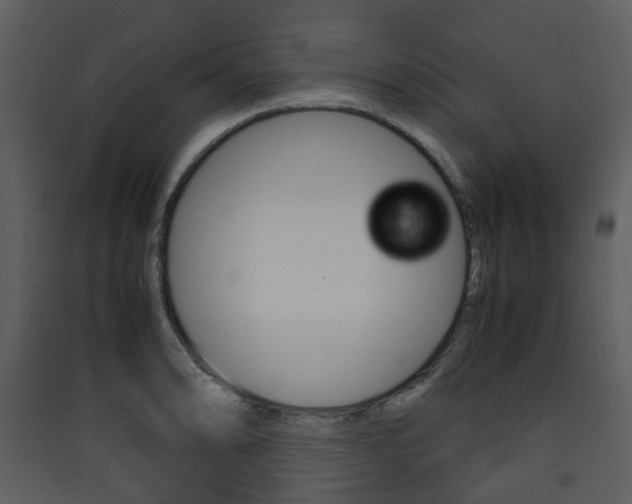 X0000090411086200707130920