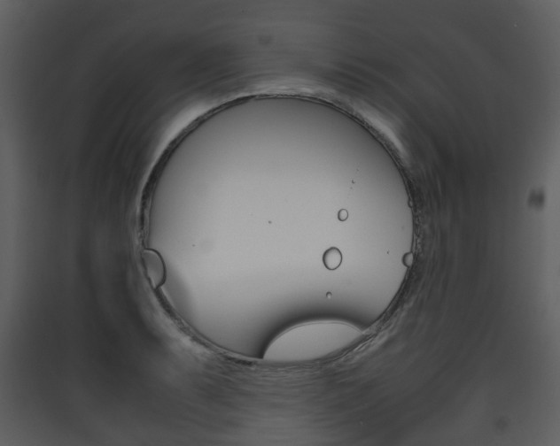 X0000090411087200707130920