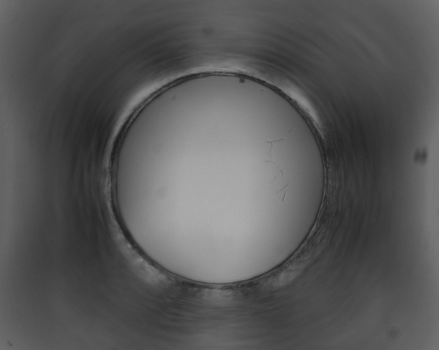 X0000090411088200707130920