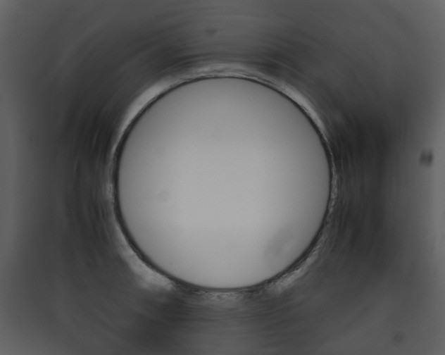 X0000090411090200707130920