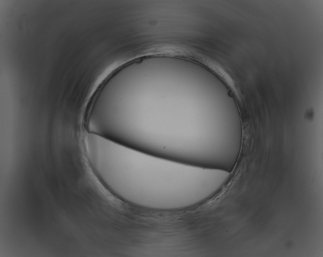 X0000090411091200707130920