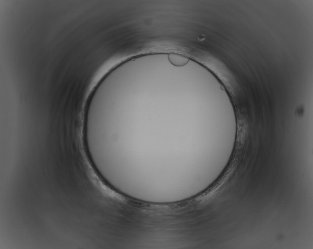 X0000090411094200707130920