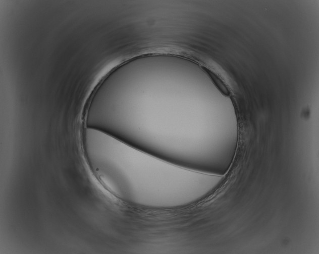X0000090411095200707130920