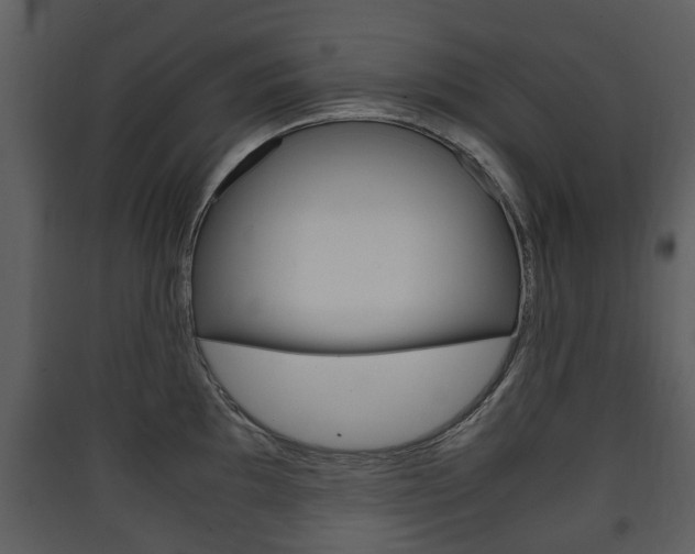 X0000090411097200707130920