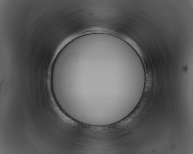 X0000090411098200707130919