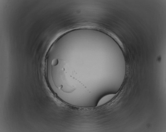 X0000090411099200707130919