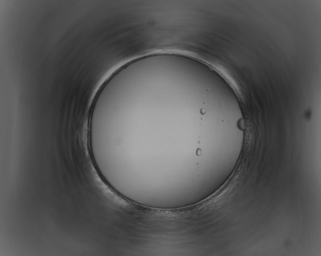 X0000090411100200707130919