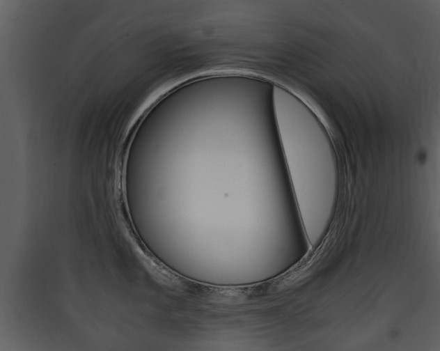 X0000090411101200707130919