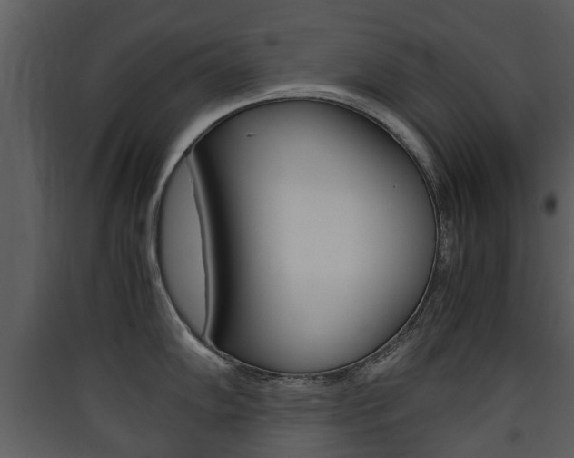 X0000090411102200707130919