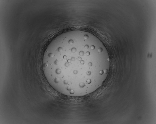 X0000090411105200707130919