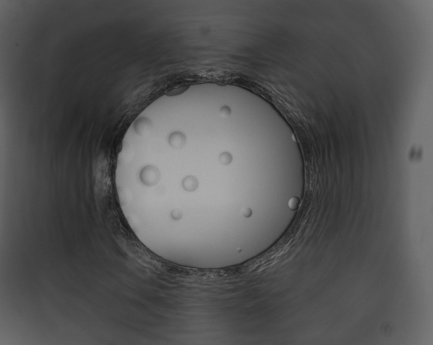 X0000090411106200707130919